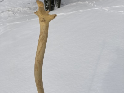 hůl 